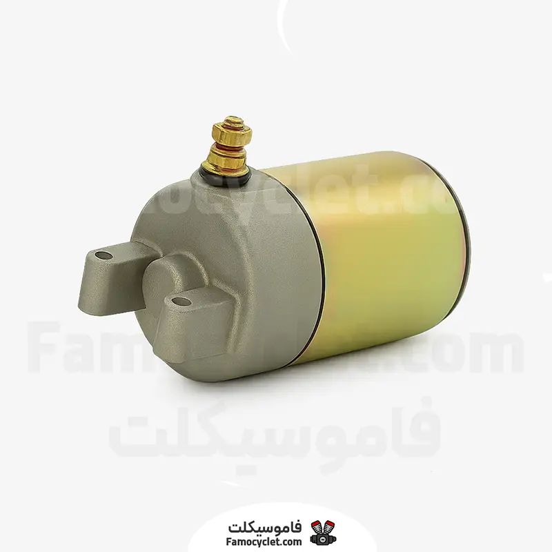 عکس شاخص استارت موتور بنلی 300