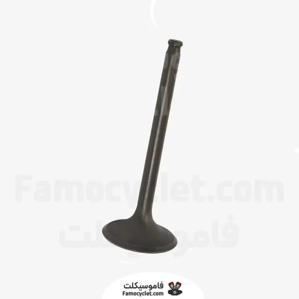 عکس سوپاپ بنلی 300
