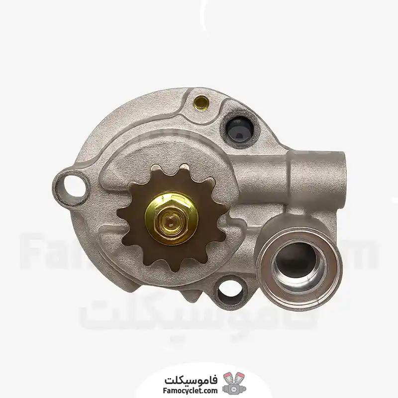 عکش شاخص پمپ روغن موتور بنلی 250