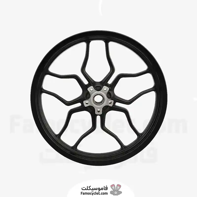 عکس شاخص چرخ جلو NS 200