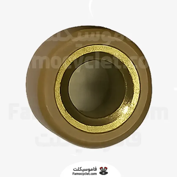 عکس ساچمه کلاچ بنلی پانارئا